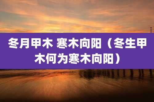 冬月甲木 寒木向阳(冬生甲木何为寒木向阳)