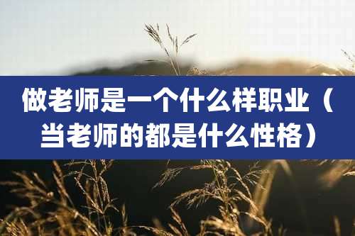 做老师是一个什么样职业(当老师的都是什么性格)