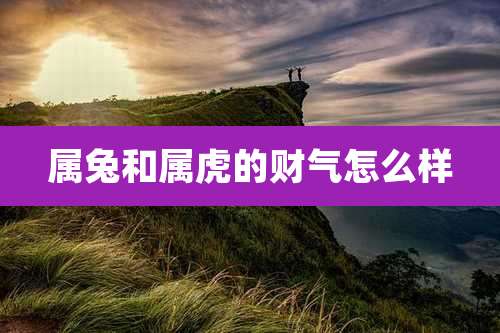 属兔和属虎的财气怎么样