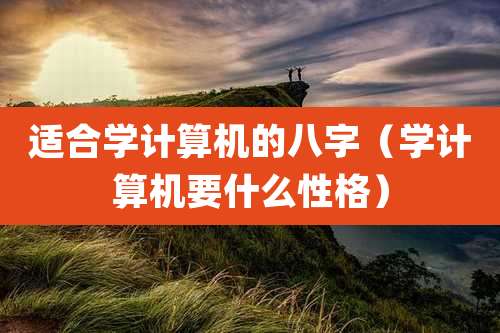 适合学计算机的八字(学计算机要什么性格)
