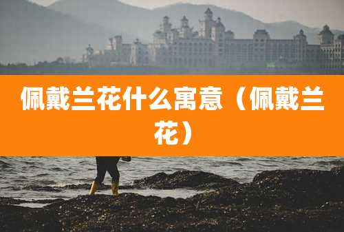 佩戴兰花什么寓意(佩戴兰花)