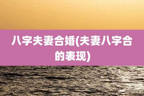 八字夫妻合婚(夫妻八字合的表现)