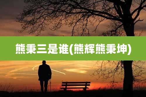 熊秉三是谁(熊辉熊秉坤)