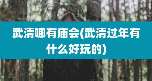 武清哪有庙会(武清过年有什么好玩的)