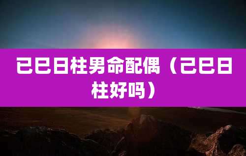 已巳日柱男命配偶(己巳日柱好吗)