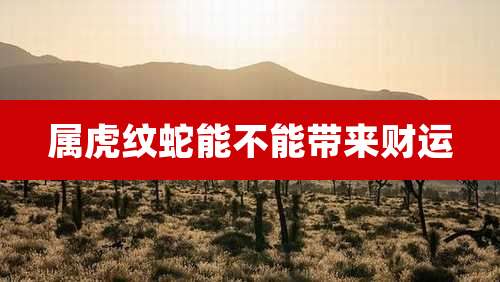 属虎纹蛇能不能带来财运