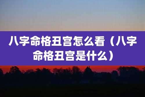八字命格丑宫怎么看(八字命格丑宫是什么)