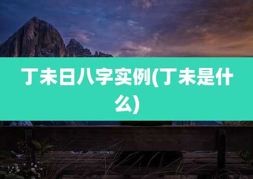 丁未日八字实例(丁未是什么)