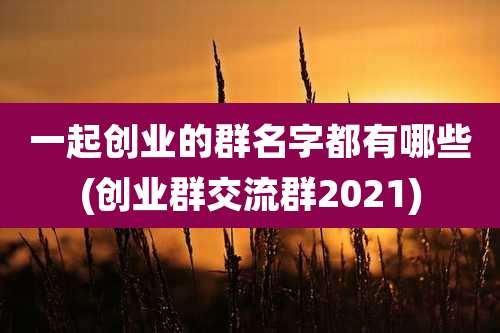 一起创业的群名字都有哪些(创业***流群2021)