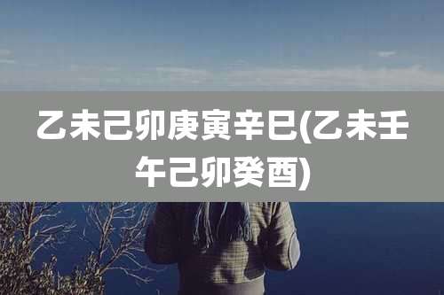 乙未己卯庚寅辛巳(乙未壬午己卯癸酉)