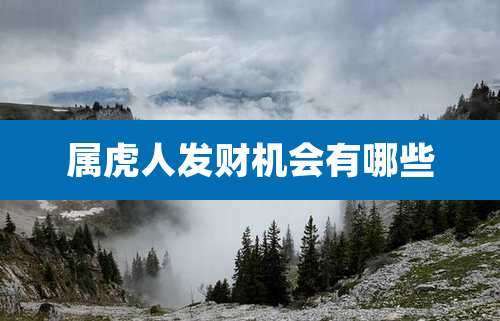 属虎人发财机会有哪些