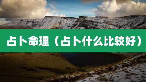 占卜命理(占卜什么比较好)