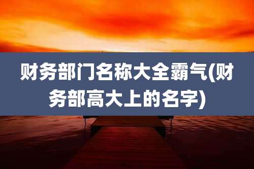 财务部门名称大全霸气(财务部高大上的名字)
