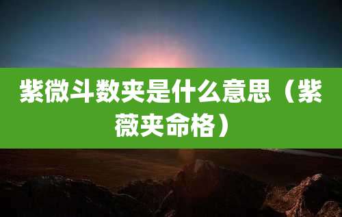 紫微斗数夹是什么意思(紫薇夹命格)