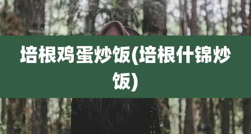 培根鸡蛋炒饭(培根什锦炒饭)