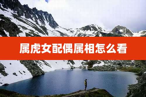 属虎女配偶属相怎么看