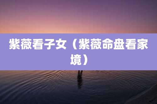 紫薇看子女(紫薇命盘看家境)