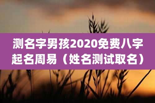 测名字男孩2020免费八字起名周易(姓名测试取名)