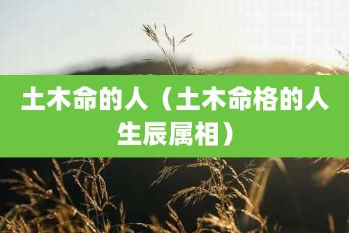 土木命的人(土木命格的人生辰属相)