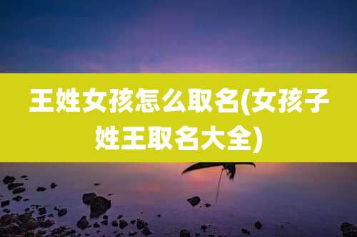 王姓女孩怎么取名(女孩子姓王取名大全)