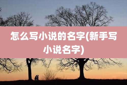 怎么写小说的名字(新手写小说名字)