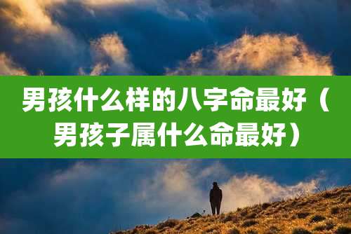 男孩什么样的八字命最好(男孩子属什么命最好)