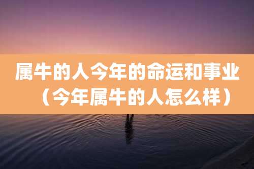 属牛的人今年的命运和事业(今年属牛的人怎么样)