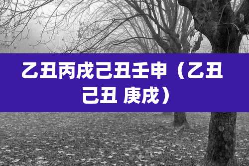 乙丑丙戌己丑壬申(乙丑 己丑 庚戌)