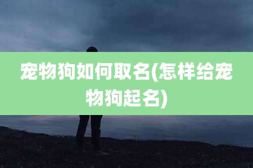 宠物狗如何取名(怎样给宠物狗起名)