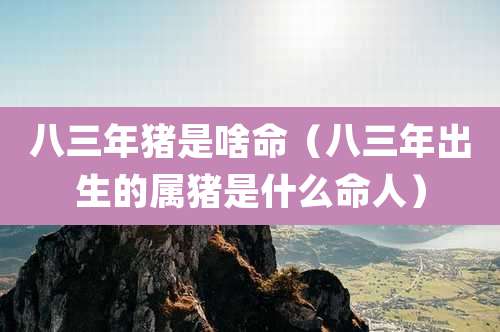 八三年猪是啥命(八三年出生的属猪是什么命人)