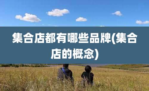 集合店都有哪些品牌(集合店的概念)