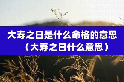大寿之日是什么命格的意思(大寿之日什么意思)