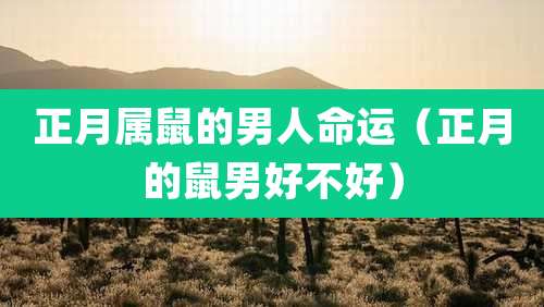 正月属鼠的男人命运(正月的鼠男好不好)