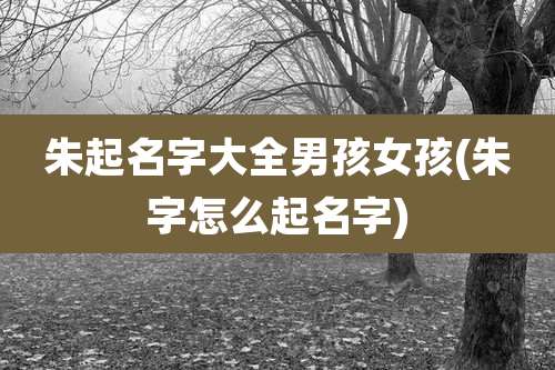 朱起名字大全男孩女孩(朱字怎么起名字)