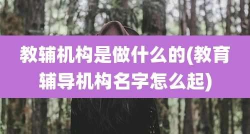 教辅机构是做什么的(教育辅导机构名字怎么起)