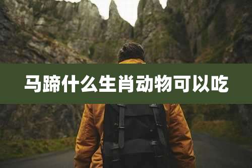 马蹄什么生肖动物可以吃