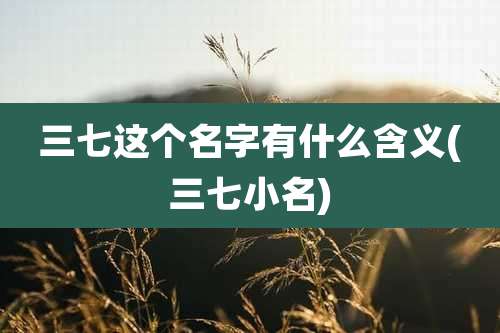 三七这个名字有什么含义(三七小名)