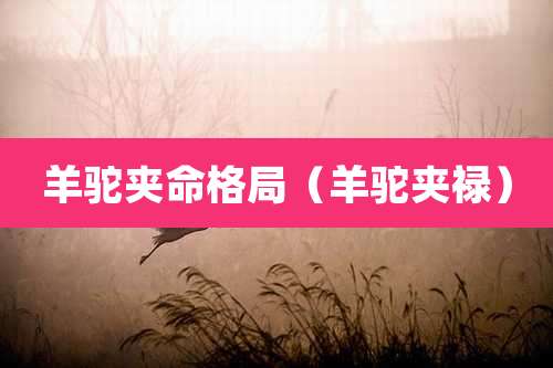 羊驼夹命格局(羊驼夹禄)