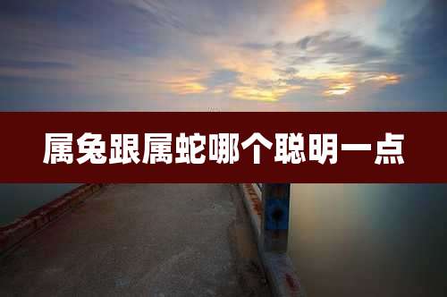 属兔跟属蛇哪个聪明一点