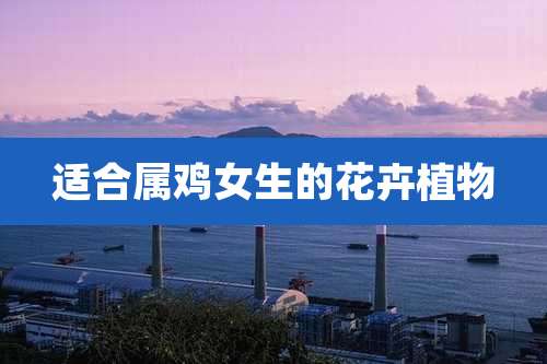 适合属鸡女生的花卉植物
