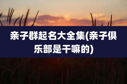 亲子群起名大全集(亲子俱乐部是干嘛的)