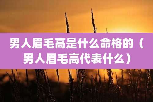 男人眉毛高是什么命格的(男人眉毛高代表什么)