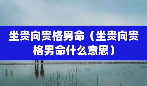 坐贵向贵格男命(坐贵向贵格男命什么意思)