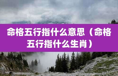 命格五行指什么意思(命格五行指什么生肖)