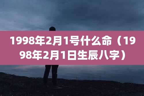1998年2月1号什么命(1998年2月1日生辰八字)