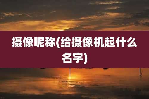 摄像昵称(给摄像机起什么名字)