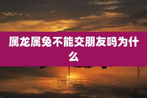 属龙属兔不能交朋友吗为什么