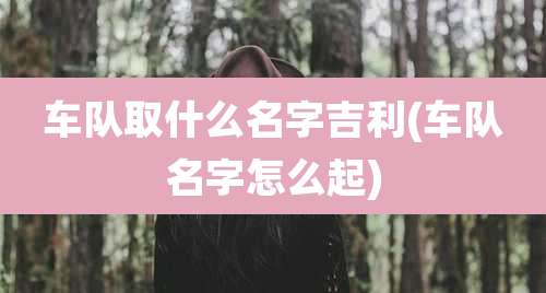 车队取什么名字吉利(车队名字怎么起)