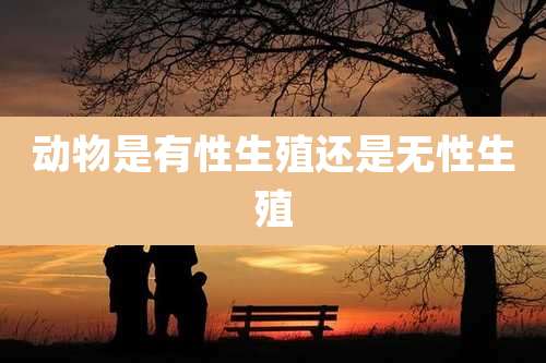 动物是有性生殖还是无性生殖