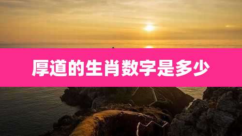 厚道的生肖数字是多少